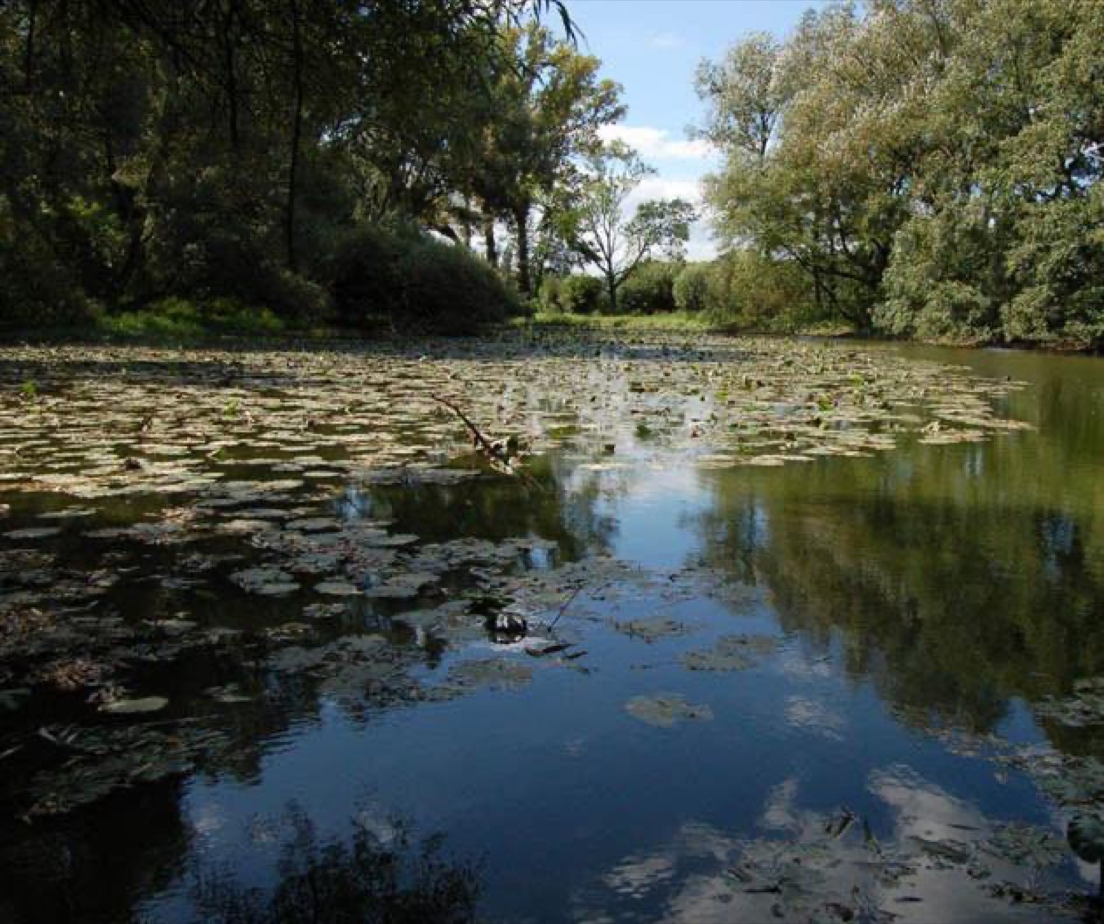 Přírodní památka Huštěnovická ramena
