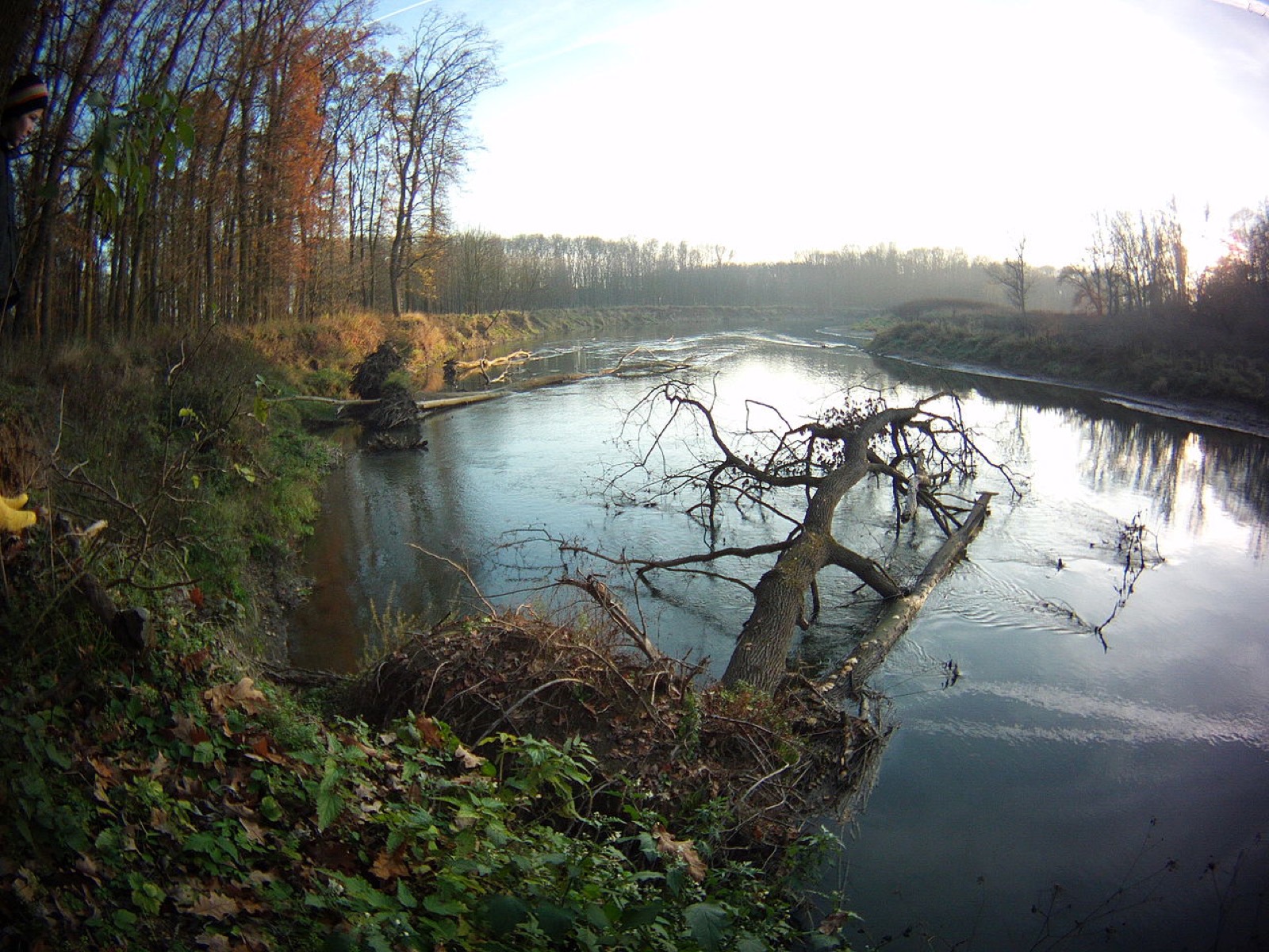 Přírodní park Strážnické Pomoraví
