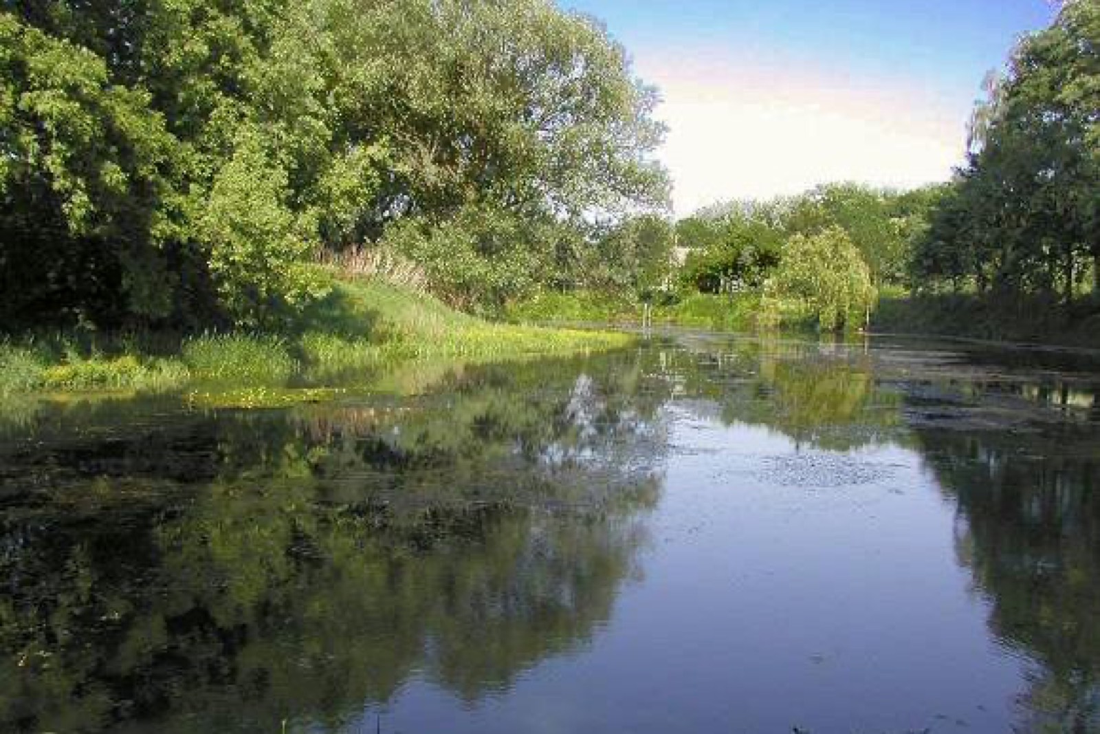 Přírodní památka Tůň u Kostelan